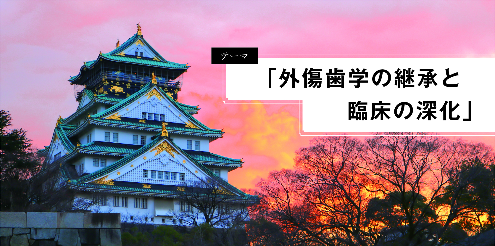 第26回 日本外傷歯学会
