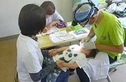 �V���c�t�����f